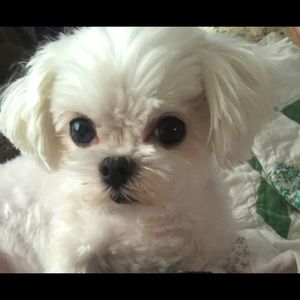 Bundle and save. All reasonable offers considered!